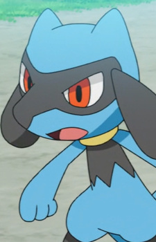 Riolu 