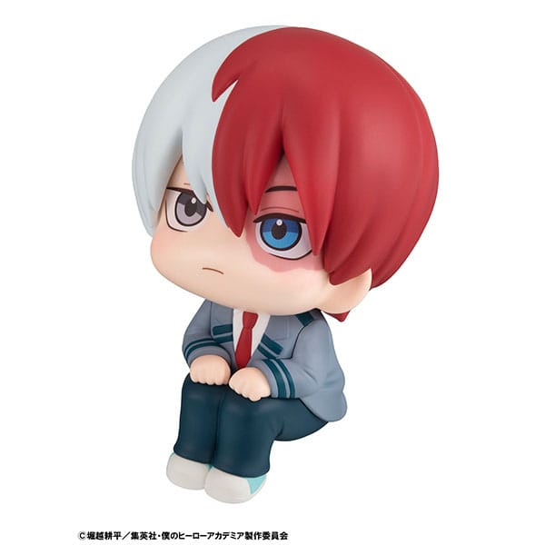 Boku no hero on sale academia todoroki